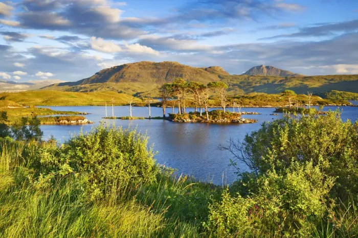 Framed Print : Island with pines - United Kingdom, Scotland, Sutherland, Loch Assynt - Highlands Framed Print : Island with pines - United Kingdom, Scotland, Sutherland, Loch Assynt - Highlands