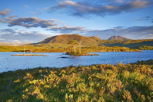 Island with pines - United Kingdom, Scotland, Sutherland, Loch Assynt - Highlands