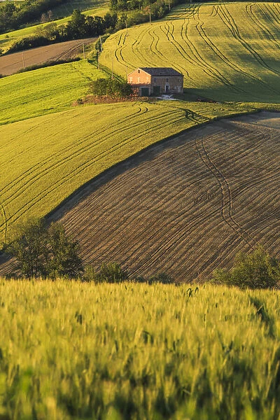 Isolated house on the hills at sunset, Pesaro Urbino province, Marche, Italy
