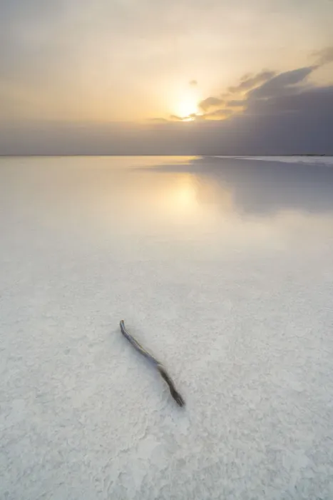 Framed Print : Isolated wood stick in salt desert on Lake Karum at sunset, Dallol, Danakil Depression