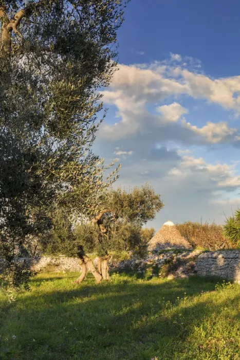 Framed Print : Italia, Italy, Apulia, Puglia, Bari district. Itria Valley. Alberobello. Typical trulli Framed Print : Italia, Italy, Apulia, Puglia, Bari district. Itria Valley. Alberobello. Typical trulli