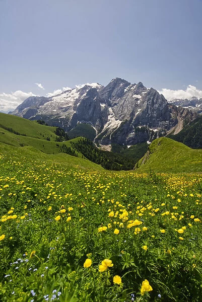 Italia, Italy. Trentino-Alto Adige. Alpi, Dolomiti, Sellaronda. Trento district, Trentino