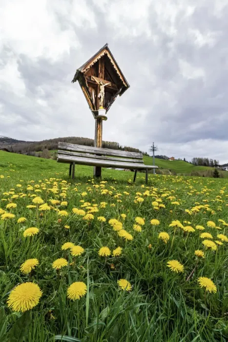 Framed Print : Italy, Dolomites: wildflowers flowering on the feet of the Faith Framed Print : Italy, Dolomites: wildflowers flowering on the feet of the Faith