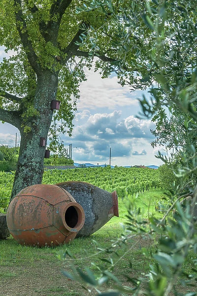 Italy, Friuli Venezia Giulia. Amphorae symbolizing the Ribolla gialla wine from Oslavia