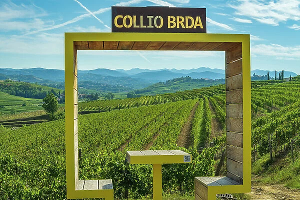 Italy, Friuli Venezia Giulia. the typical landscape of the Collio with its vineyards