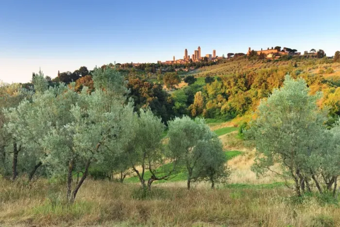 Framed Print : Italy, Italia. Tuscany, Toscana. Siena district, Val d Elsa, San Gimignano Framed Print : Italy, Italia. Tuscany, Toscana. Siena district, Val d Elsa, San Gimignano