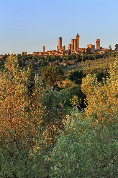 Italy, Italia. Tuscany, Toscana. Siena district, Val d Elsa, San Gimignano
