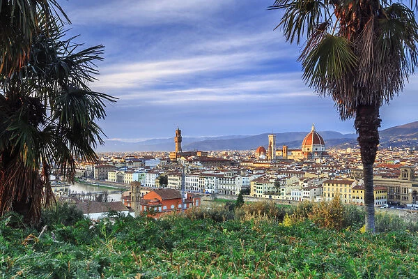 Italy, Italia. Tuscany, Toscana. Firenze district