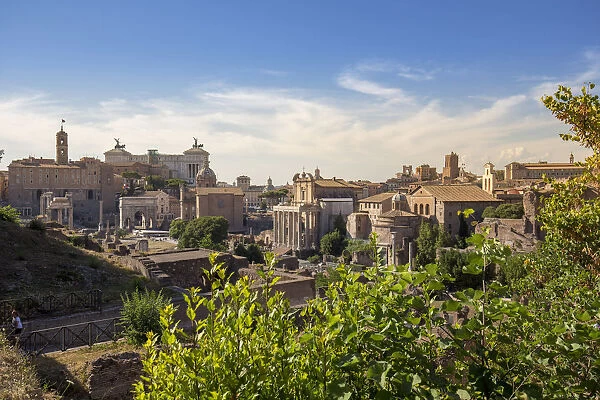 Italy, Latium, Lazio. Rome, Roma. The Roman Forum