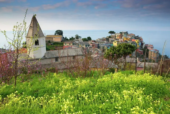 Framed Print : Italy, Liguria, Cinque Terre, Corniglia village Framed Print : Italy, Liguria, Cinque Terre, Corniglia village