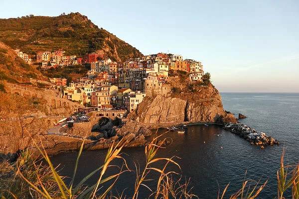 Italy, Liguria, La Spezia district, Cinque Terre, Manarola