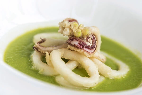 italy, Liguria. Seafood dinner with octopus on pea cream