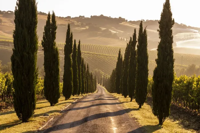 Framed Print : Italy, Marche. Macerata district. Urbisglia. Typical Marche landscape near Urbisaglia Framed Print : Italy, Marche. Macerata district. Urbisglia. Typical Marche landscape near Urbisaglia