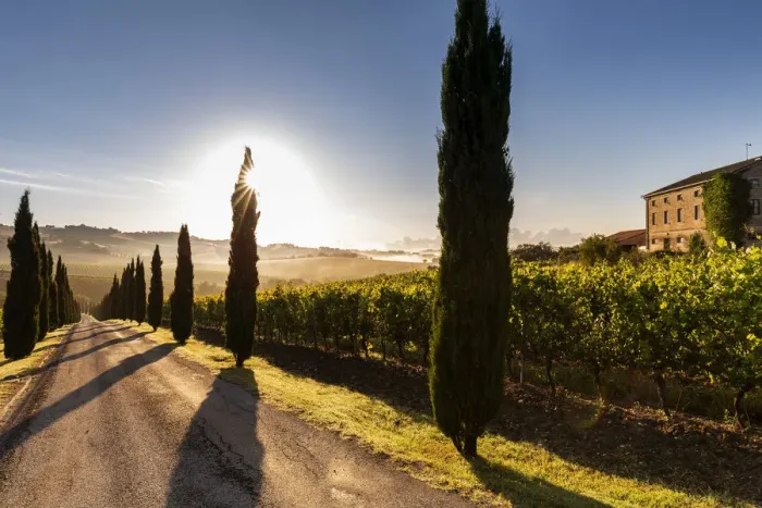 Framed Print : Italy, Marche. Macerata district. Urbisglia. Typical Marche landscape near Urbisaglia Framed Print : Italy, Marche. Macerata district. Urbisglia. Typical Marche landscape near Urbisaglia