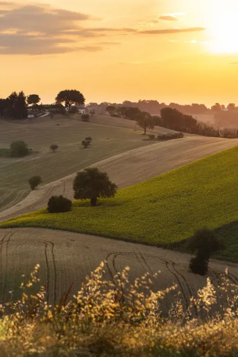 Framed Print : Italy, Marche. Macerata district. Corridonia Framed Print : Italy, Marche. Macerata district. Corridonia