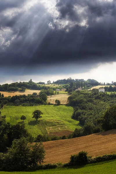Italy, Marche. Macerata district. Countryside