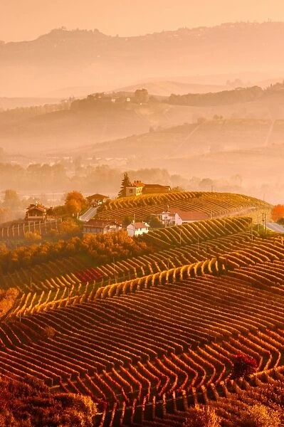 Italy, Piedmont, Cuneo District, Langhe - Autumnal Sunrise