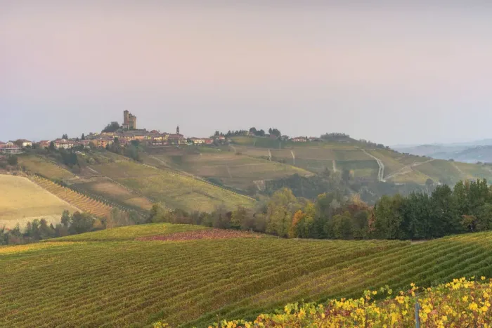 Framed Print : Italy, Piedmont, Cuneo District, Barolo, Langhe Barolo at sunrise Framed Print : Italy, Piedmont, Cuneo District, Barolo, Langhe Barolo at sunrise