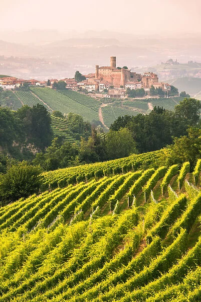 Italy, Piedmont, Cuneo district, Langhe, Castiglione Falletto, the vineyards and the