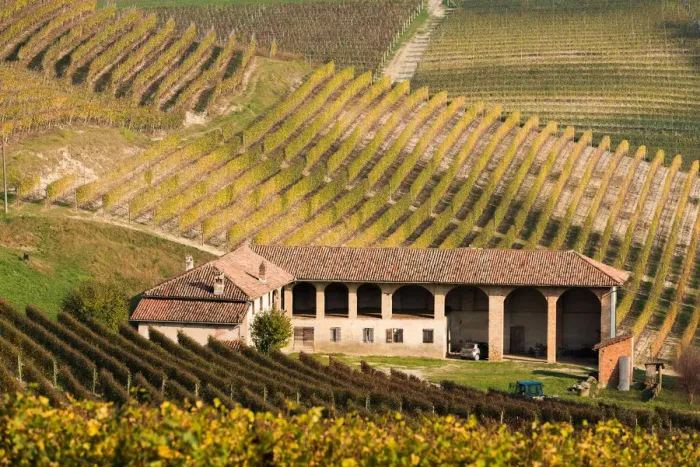 Framed Print : Italy, Piedmont, Cuneo district, Langhe, Barolo Framed Print : Italy, Piedmont, Cuneo district, Langhe, Barolo