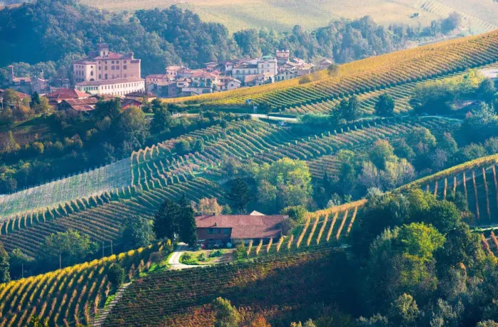 Framed Print : Italy, Piedmont, Cuneo district, Langhe, La Morra