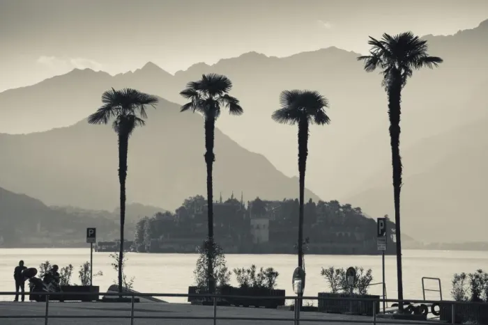 Framed Print : Italy, Piedmont, Lake Maggiore, Borromean Islands, Stresa, lakefront palms with Isola Bella Framed Print : Italy, Piedmont, Lake Maggiore, Borromean Islands, Stresa, lakefront palms with Isola Bella