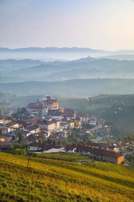 Framed Print : Italy, Piedmont (Piemonte), Colline del Barolo, Cuneo district, Langhe, Barolo Framed Print : Italy, Piedmont (Piemonte), Colline del Barolo, Cuneo district, Langhe, Barolo