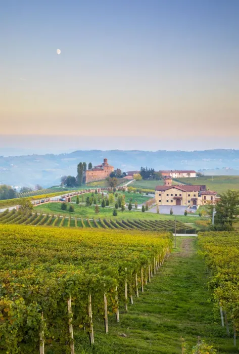 Framed Print : Italy, Piedmont (Piemonte), Colline del Barolo, Cuneo district, Langhe, Barolo, Castello Framed Print : Italy, Piedmont (Piemonte), Colline del Barolo, Cuneo district, Langhe, Barolo, Castello