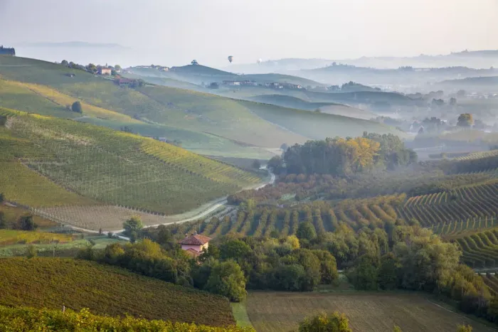 Framed Print : Italy, Piedmont (Piemonte), Cuneo District, Langhe, hot air balloons fly over valley Framed Print : Italy, Piedmont (Piemonte), Cuneo District, Langhe, hot air balloons fly over valley