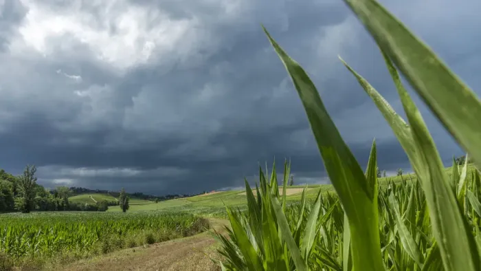 Framed Print : Italy, Piedmont, a thunderstorm over the cornfield Framed Print : Italy, Piedmont, a thunderstorm over the cornfield