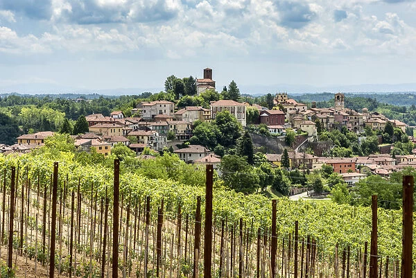 italy, Piedmont, view through the vineyards towards Castelnuovo Don Bosco