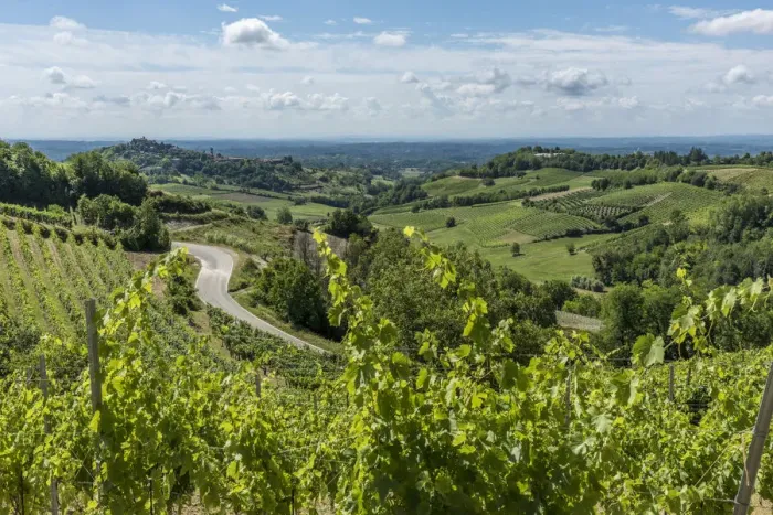 Framed Print : Italy, Piedmont, view through the vineyards towards Castelnuovo Don Bosco Framed Print : Italy, Piedmont, view through the vineyards towards Castelnuovo Don Bosco