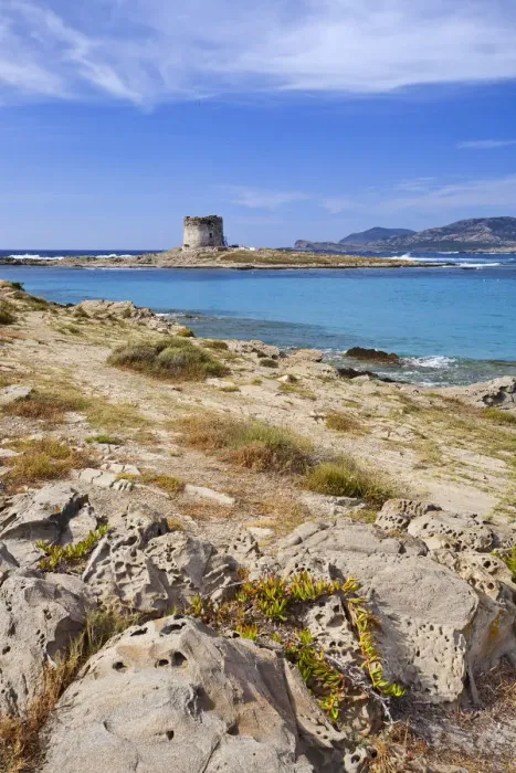 Framed Print : Italy, Sardinia, Sassari district, Stintino, La Pelosa beach Framed Print : Italy, Sardinia, Sassari district, Stintino, La Pelosa beach