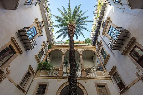 Italy, Sicily, Palermo, a courtyard with a palm tree in Central Palermo