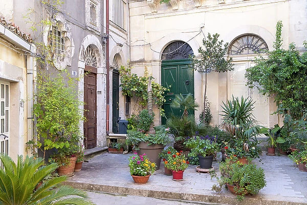 Italy, Sicily, Ragusa, a courtyard full of colourful plants and flowers in Ragusa Ibla
