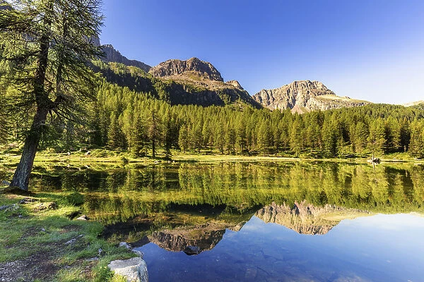 Italy, Trentino-Alto Adige, Alps, Trento district, Val di Fassa, Passo San