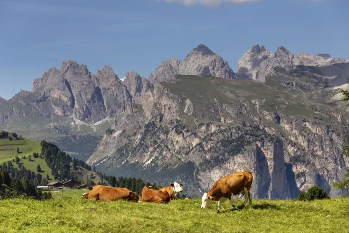 Framed Print : Italy, Trentino-Alto Adige, Alto Adige, Sudtirol, Alps, Dolomites, Sellaronda