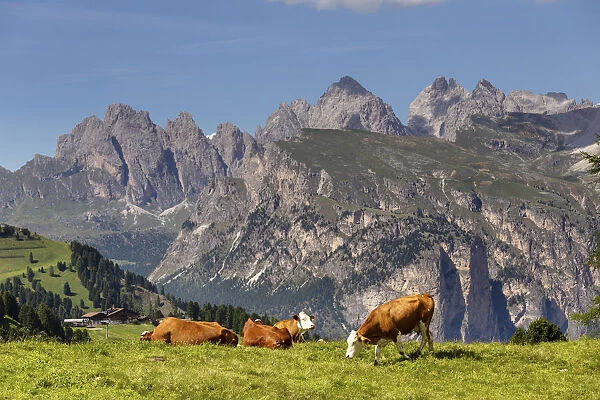 Italy, Trentino-Alto Adige, Alto Adige, Sudtirol, Alps, Dolomites, Sellaronda