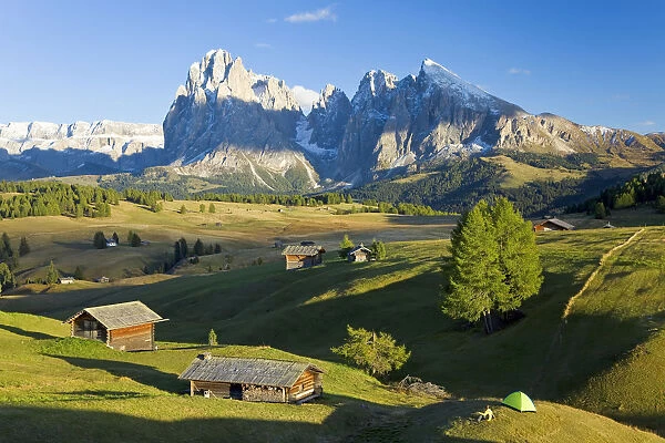Italy, Trentino-Alto Adige, South Tyrol, Bolzano district, Alpe di Siusi, Seiser Alm