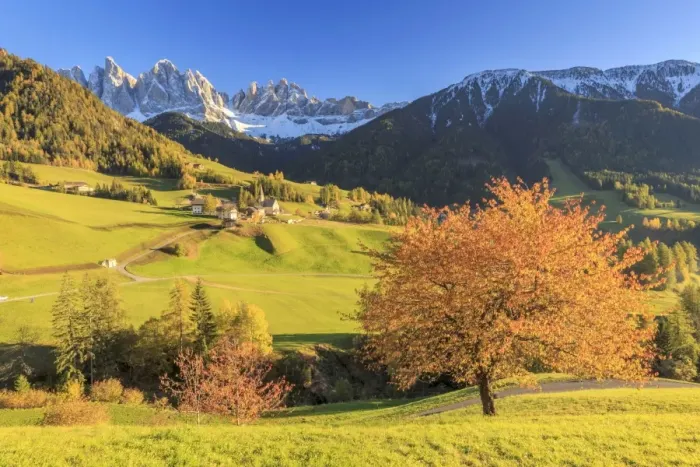 Framed Print : Italy, Trentino Alto Adige, South Tyrol Region, Val di Funes and Santa Magdalena Framed Print : Italy, Trentino Alto Adige, South Tyrol Region, Val di Funes and Santa Magdalena