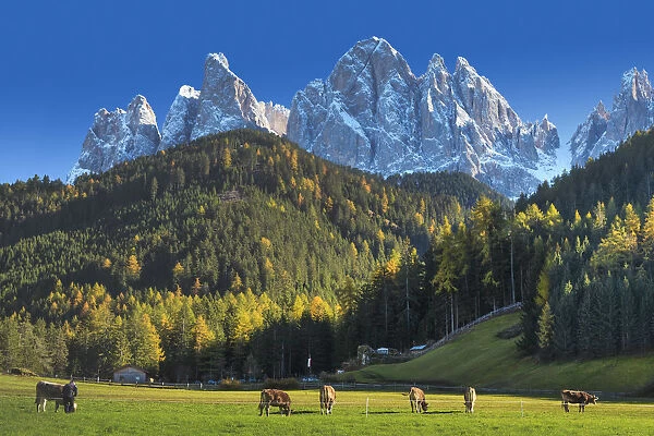 Italy, Trentino Alto Adige, South Tyrol Region, Val di Funes and Santa Magdalena town