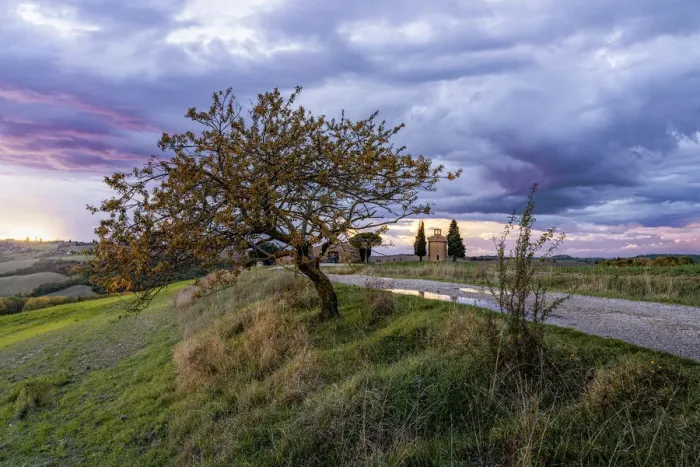 Framed Print : Italy, Tuscany: amazing view of Vitaletas Our Lady Chapel, Val d Orcia Framed Print : Italy, Tuscany: amazing view of Vitaletas Our Lady Chapel, Val d Orcia