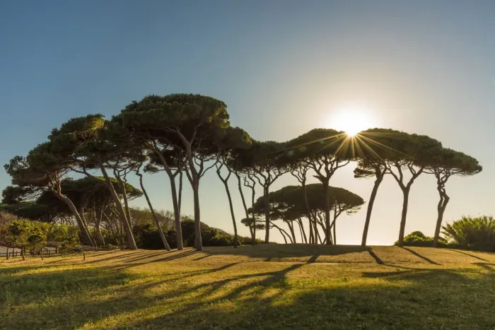 Framed Print : Italy, Tuscany, the beach at Golfo di Baratti at sunset