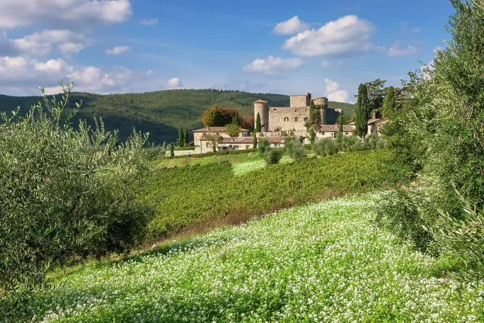 Framed Print : Italy, Tuscany, Chianti landscape, Meleto castle, olive trees Framed Print : Italy, Tuscany, Chianti landscape, Meleto castle, olive trees