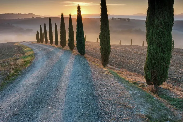 Framed Print : Italy, Tuscany, Crete landscape, avenue near Poderino estate, cyptresses Framed Print : Italy, Tuscany, Crete landscape, avenue near Poderino estate, cyptresses