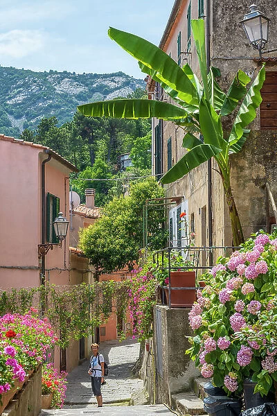 Italy, Tuscany, Elba. A street scene in the picturesque village of Poggio, little village in Western Elba