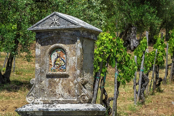 Italy, Tuscany. A little Madonna shrine in a vineyard in the Chianti area near to Castelnuovo Berardenga