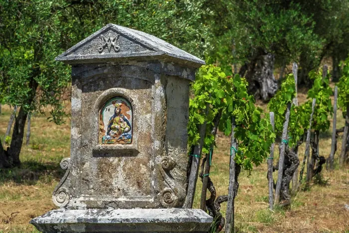 Framed Print : Italy, Tuscany. A little Madonna shrine in a vineyard in the Chianti area near to Castelnuovo Berardenga Framed Print : Italy, Tuscany. A little Madonna shrine in a vineyard in the Chianti area near to Castelnuovo Berardenga