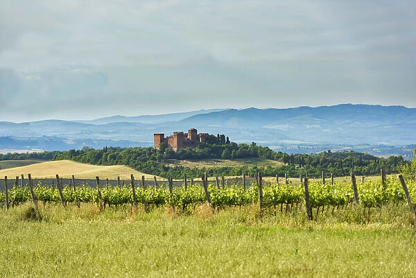 Italy, Tuscany, Orcia Valley, Asciano, Old castle