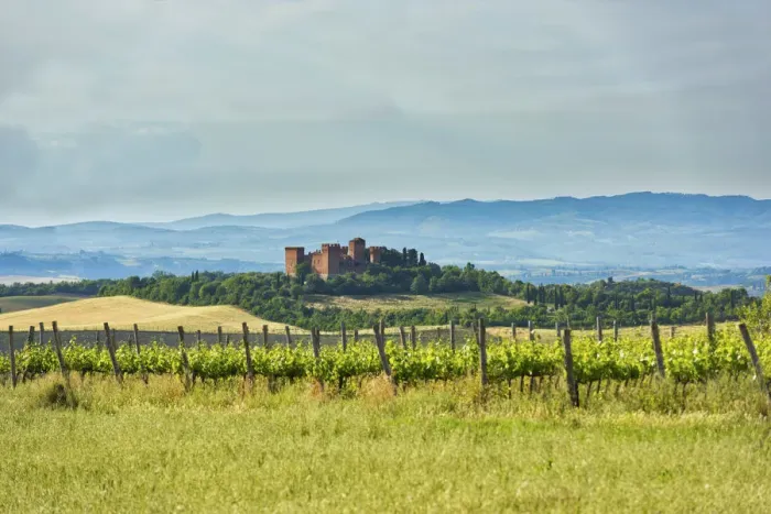 Framed Print : Italy, Tuscany, Orcia Valley, Asciano, Old castle Framed Print : Italy, Tuscany, Orcia Valley, Asciano, Old castle